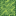 assets/pp/textures/blocks/wool_colored_lime.png